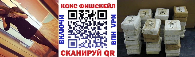 Купить закладки  Ряжск  Cocaine VHQ 