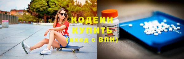 mix Инта
