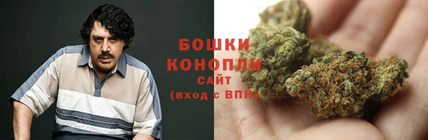 mix Инта