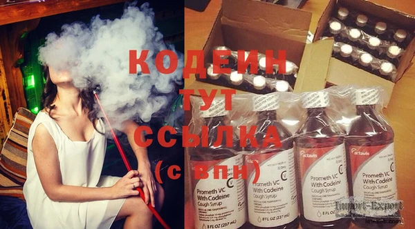 mix Инта