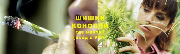 дурь Инсар