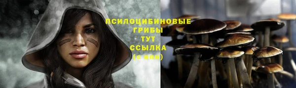 дурь Инсар