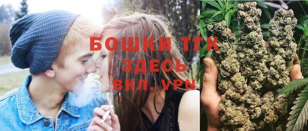 дурь Инсар