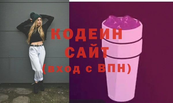 дурь Инсар
