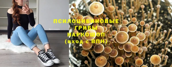 дурь Инсар