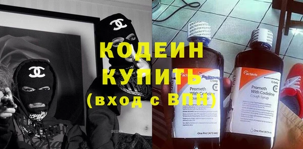 дурь Инсар
