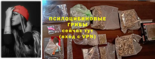 mix Инта