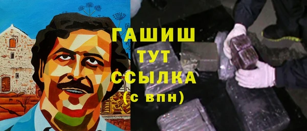 mix Инта