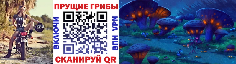 Купить  Ряжск  Псилоцибиновые грибы Psilocybe 